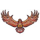 Aquila / S