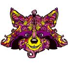 Raccoon / S